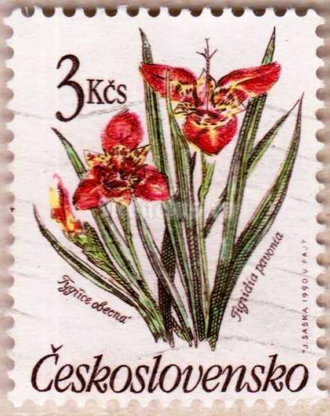 марка Чехословакия 3 кроны "Тигридия павлинья" 1990 год