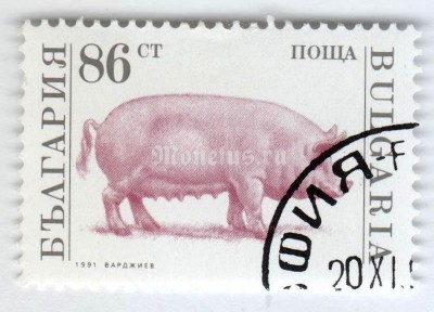 марка Болгария 86 стотинок "Domestic Pig (Sus scrofa domestica)" 1991 год Гашение
