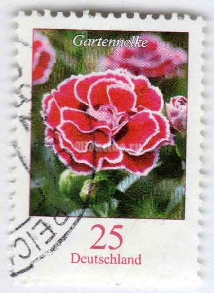 марка ФРГ 25 центов "Dianthus - Carnation" 2008 год Гашение