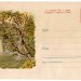 ХМК СССР Летний пейзаж Береза у реки 1960 год, И.В. Знаменский, чистый