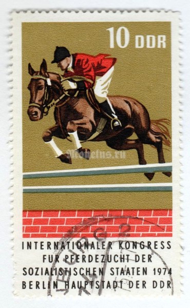 марка ГДР 10 пфенниг "Noble warm blood horse" 1974 год Гашение