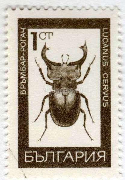 марка Болгария 1 стотинка "Stag Beetle (Lucanus cervus)" 1968 год Гашение