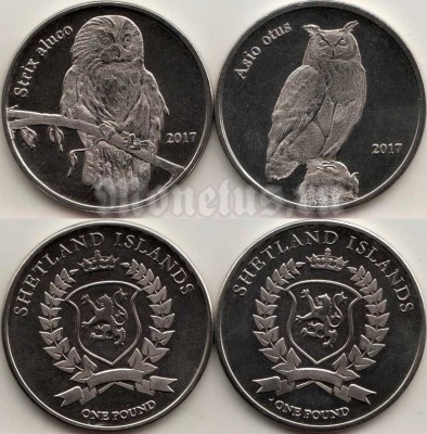 Шетландские острова (Шотландия) набор из 2-х монет 1 фунт 2017 год птицы. Ушастая сова и Неясыть