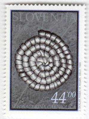 марка Словения 44 толара "Fossils of Dolžanova soteska" 1993 год