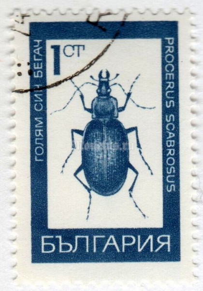 марка Болгария 1 стотинка "Huge Violet Ground Beetle (Carabus scabrosus)" 1968 год Гашение