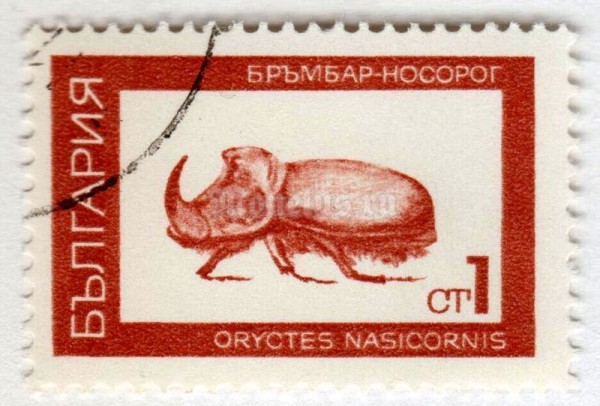 марка Болгария 1 стотинка "European Rhinoceros Beetle (Oryctes nasicornis)" 1968 год Гашение