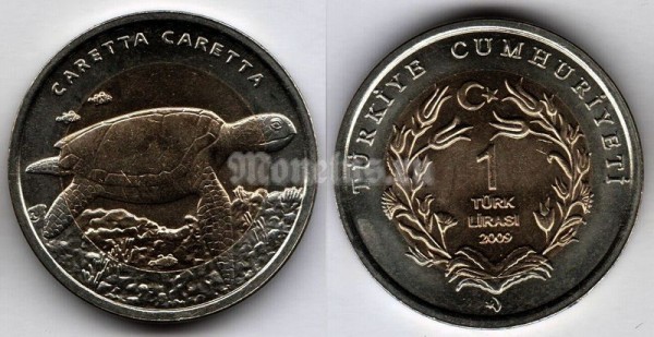 монета Турция 1 лира 2009 год Фауна Турции - Морская черепаха