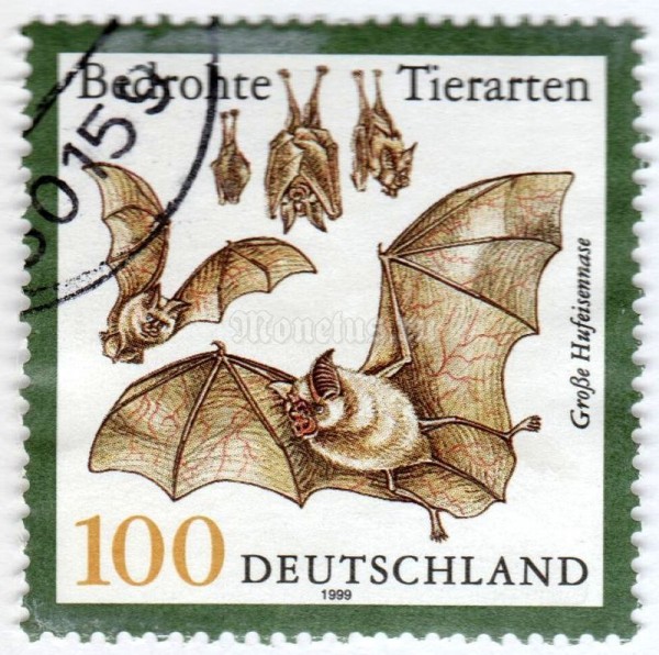 марка ФРГ 100 пфенниг "Greater Horseshoe Bat (Rhinolophus ferrumequinum)" 1999 год Гашение