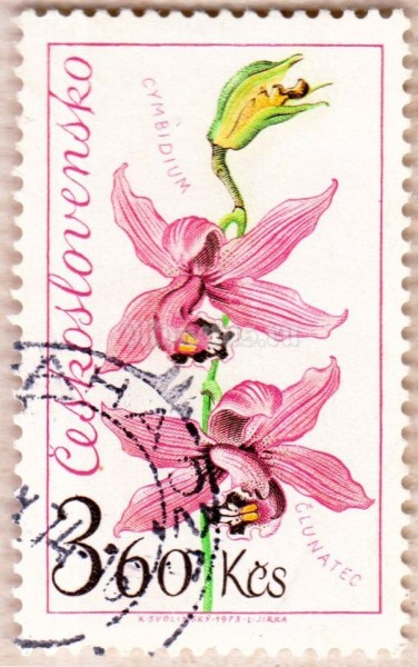 марка Чехословакия 3,60 кроны "Цимбидиум" 1973 год