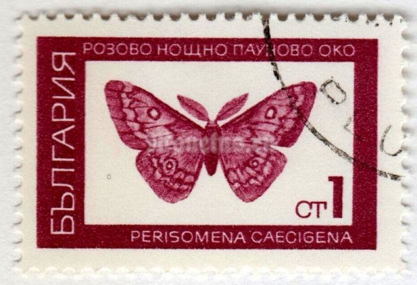 марка Болгария 1 стотинка "Autum Emperor Moth (Perisomena coecigena)" 1968 год Гашение