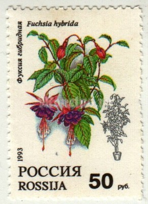 марка Россия 50 рублей "Фуксия гибридная" 1993 год