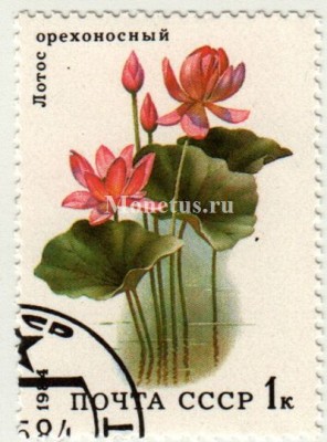 марка СССР 1 копейка " Орехоносный лотос" 1984 год
