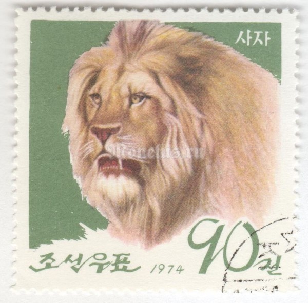 марка Северная Корея 90 чон "Lion (Panthera leo)" 1974 год Гашение