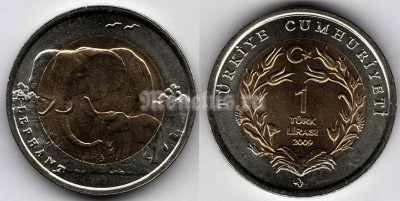 монета Турция 1 лира 2009 год Фауна Турции - Слон 