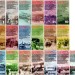 Набор из 19-ти бон - образцов серия 70 лет Победы 2015 год полный, серия АА 0000, номерная голограмма