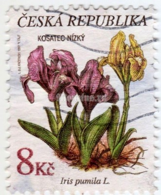 марка Чехия 8 крон "Kosatec nízký, IRIS PUMILA L." 1997 год гашение
