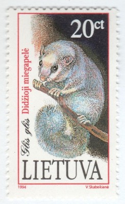 марка Литва 20 центес "Edible Dormouse (Glis glis)" 1994 год 