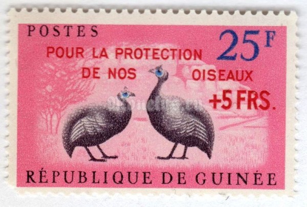 марка Гвинея 25+5 франков "Helmeted Guineafowl (Numida meleagris)" 1962 год 