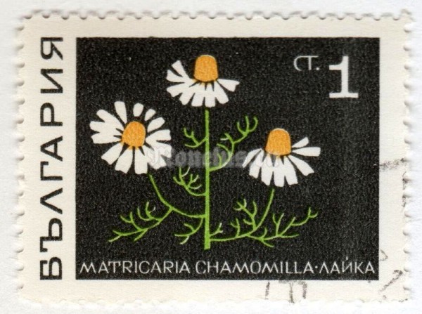 марка Болгария 1 стотинка "Drawing / Cartoon" 1969 год Гашение