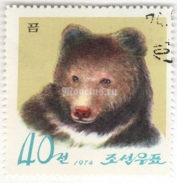 марка Северная Корея 40 чон "Ussuri Brown Bear (Ursus arctos lasiotus)" 1974 год Гашение