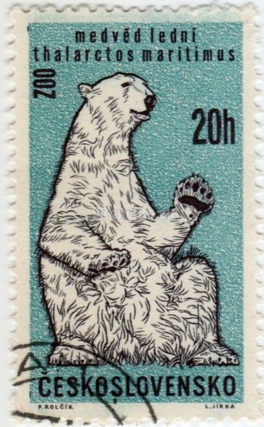 марка Чехословакия 20 геллер "Polar Bear (Ursus maritimus)" 1962 год гашение
