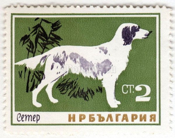 марка Болгария 2 стотинки "English Setter (Canis lupus familiaris)" 1964 год 