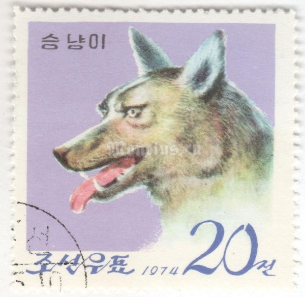 марка Северная Корея 20 чон "Dhole (Cuon alpinus)" 1974 год Гашение