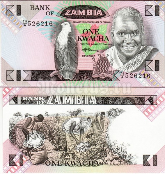 бона Замбия 1 квача 1986-88 год