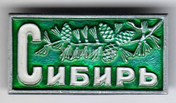 Значок СССР Сибирь