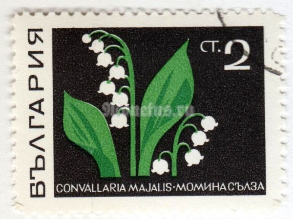 марка Болгария 2 стотинки "Lily of the Valley (Convallaria majalis)" 1969 год Гашение