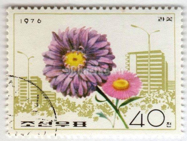 марка Северная Корея 40 чон "China aster" 1976 год Гашение
