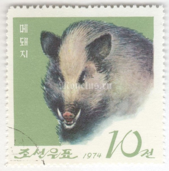 марка Северная Корея 10 чон "Korean Wild Boar (Sus scrofa coreanus)" 1974 год Гашение