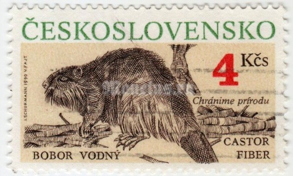 марка Чехословакия 4 кроны "Eurasian Beaver (Castor fiber)" 1990 год гашение