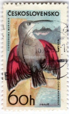 марка Чехословакия 60 геллер "Wallcreeper (Tichodroma muraria)" 1965 год Гашение