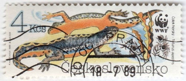 марка Чехословакия 4 кроны "Alpine Newt (Triturus alpestris)" 1989 год Гашение