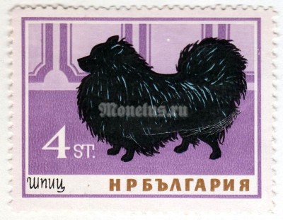 марка Болгария 4 стотинки "Spitz (Canis lupus familiaris)" 1964 год 