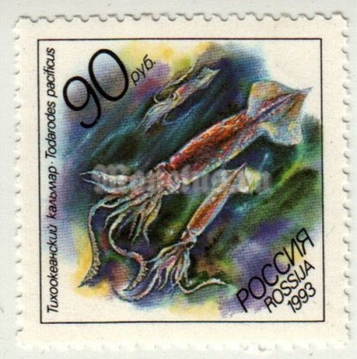 марка Россия 90 рублей "Тихоокеанский кальмар" 1993 год