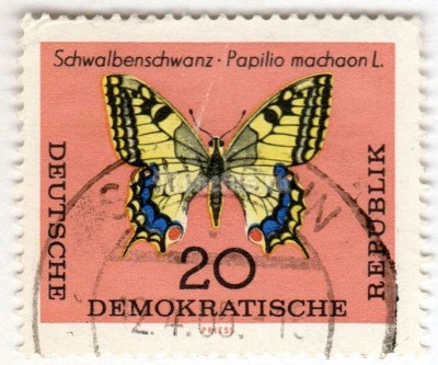 марка ГДР 20 пфенниг "Swallowtail (Papilio machaon)" 1964 год Гашение