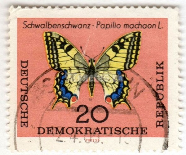марка ГДР 20 пфенниг "Swallowtail (Papilio machaon)" 1964 год Гашение