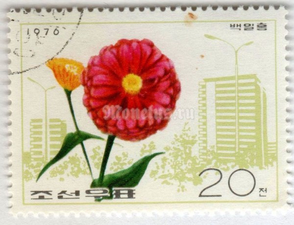 марка Северная Корея 20 чон "Zinnia" 1976 год Гашение
