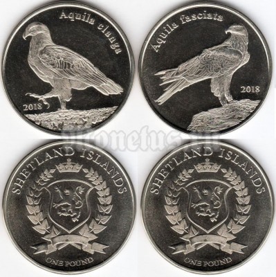 Шетландские острова (Шотландия) набор из 2-х монет 1 фунт 2018 год птицы. Большой подорлик и Ястреби́ный орёл 