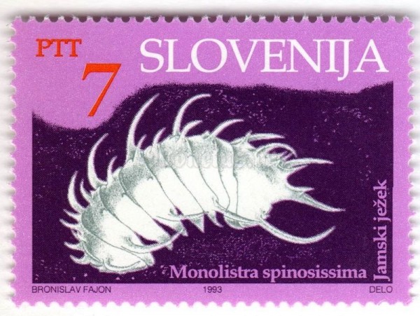 марка Словения 7 толар "Cave animals - The long-spined cave isopod crustacean" 1993 год