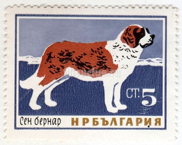 марка Болгария 5 стотинок "Saint Bernard Dog (Canis lupus familiaris)" 1964 год 