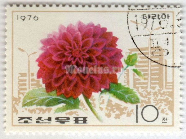 марка Северная Корея 10 чон "Dahlia" 1976 год Гашение