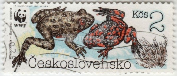 марка Чехословакия 2 кроны "Fire-bellied Toad (Bombina bombina)" 1989 год гашение