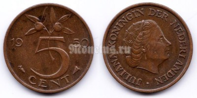 монета Нидерланды 5 центов 1950 год