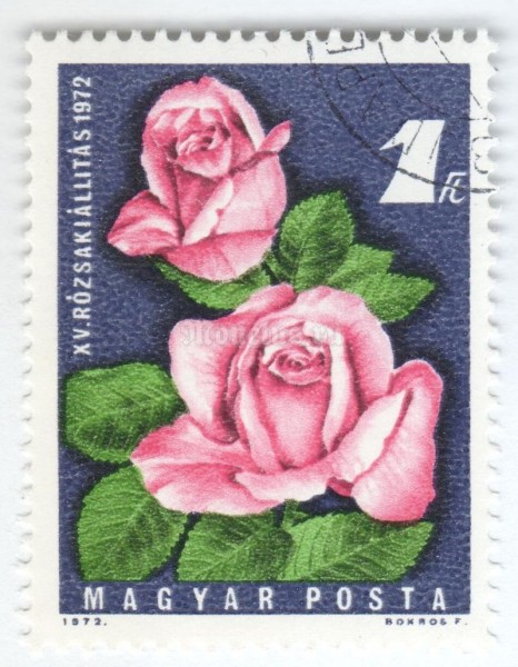 марка Венгрия 1 форинт "15th Rose Exhibition, Budapest" 1972 год Гашение