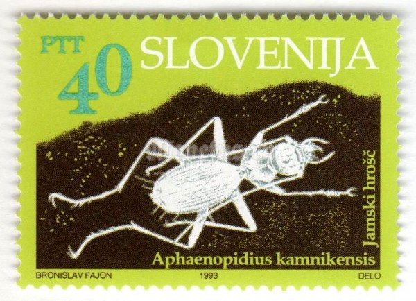 марка Словения 40 толар "Cave animals - Cave beetle" 1993 год