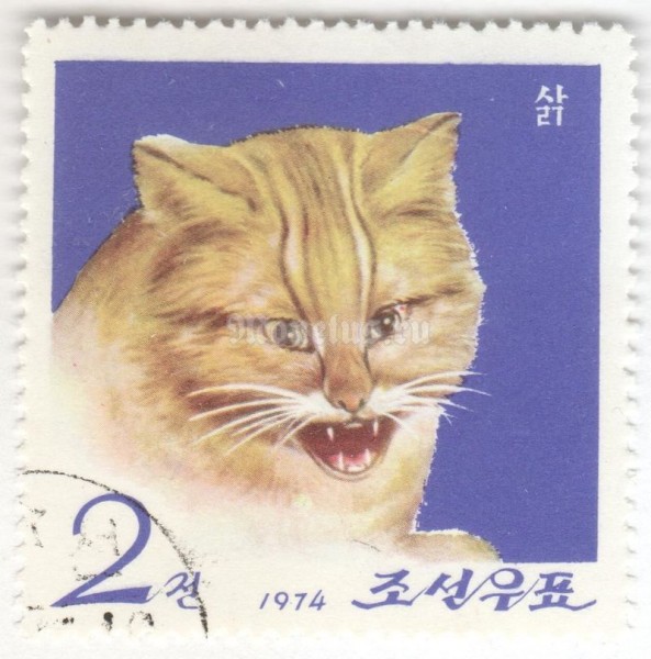 марка Северная Корея 2 чона "Leopard Cat (Prionailurus bengalensis)" 1974 год Гашение
