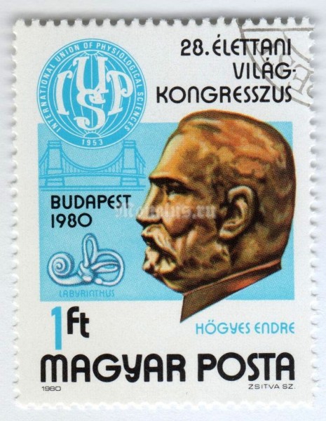 марка Венгрия 1 форинт "Dr. Endre Hőgyes" 1980 год Гашение